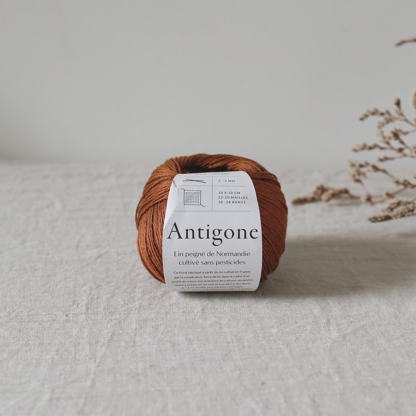 Lino ANTIGONE de De Rerum Natura