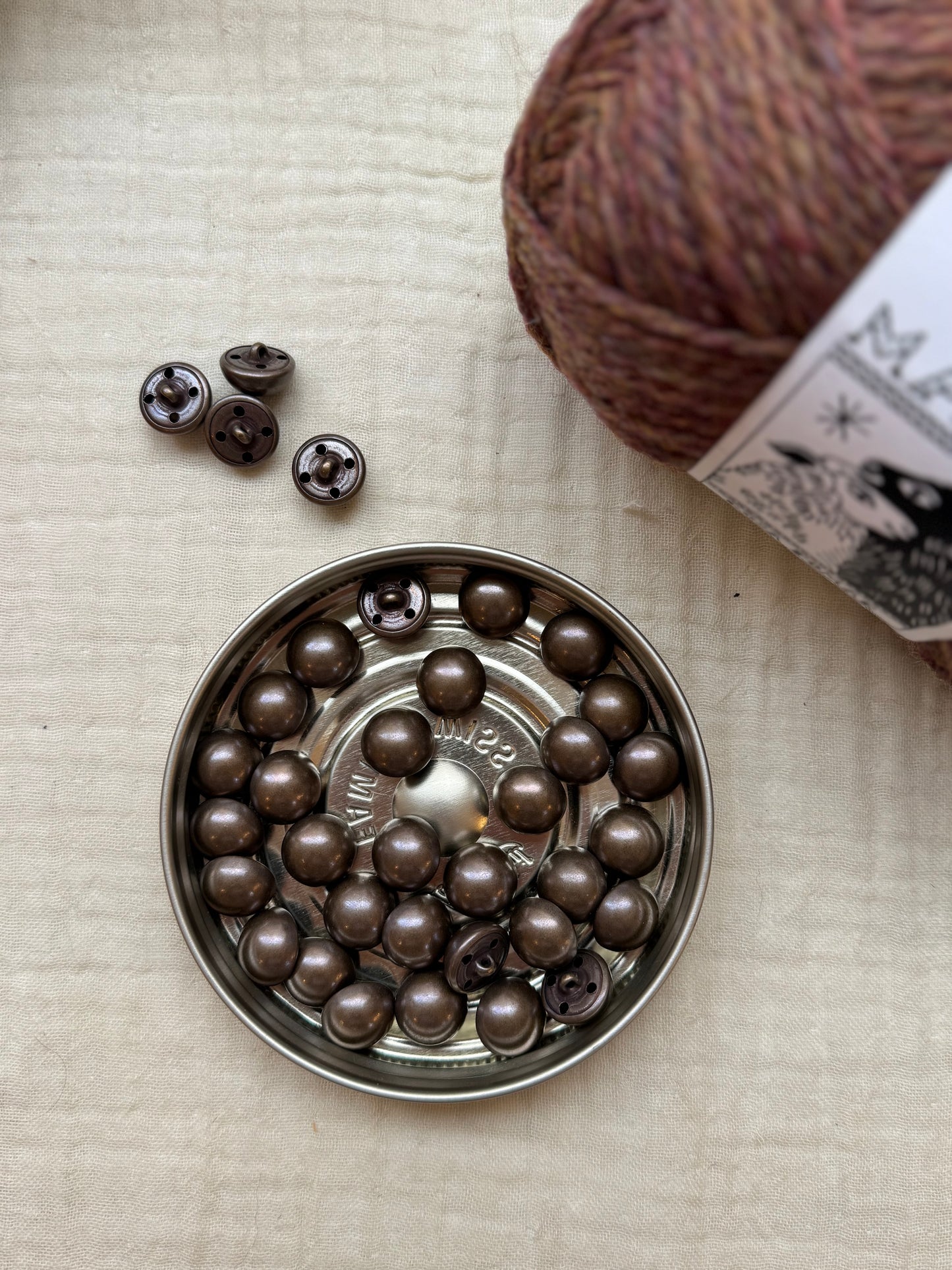 Botones de latón, Rosa Pomar