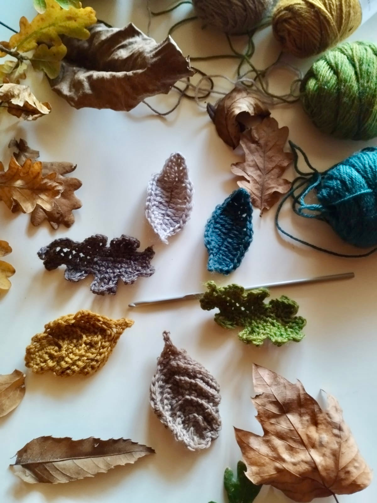 🍂 Taller de iniciación al ganchillo: hojas de otoño