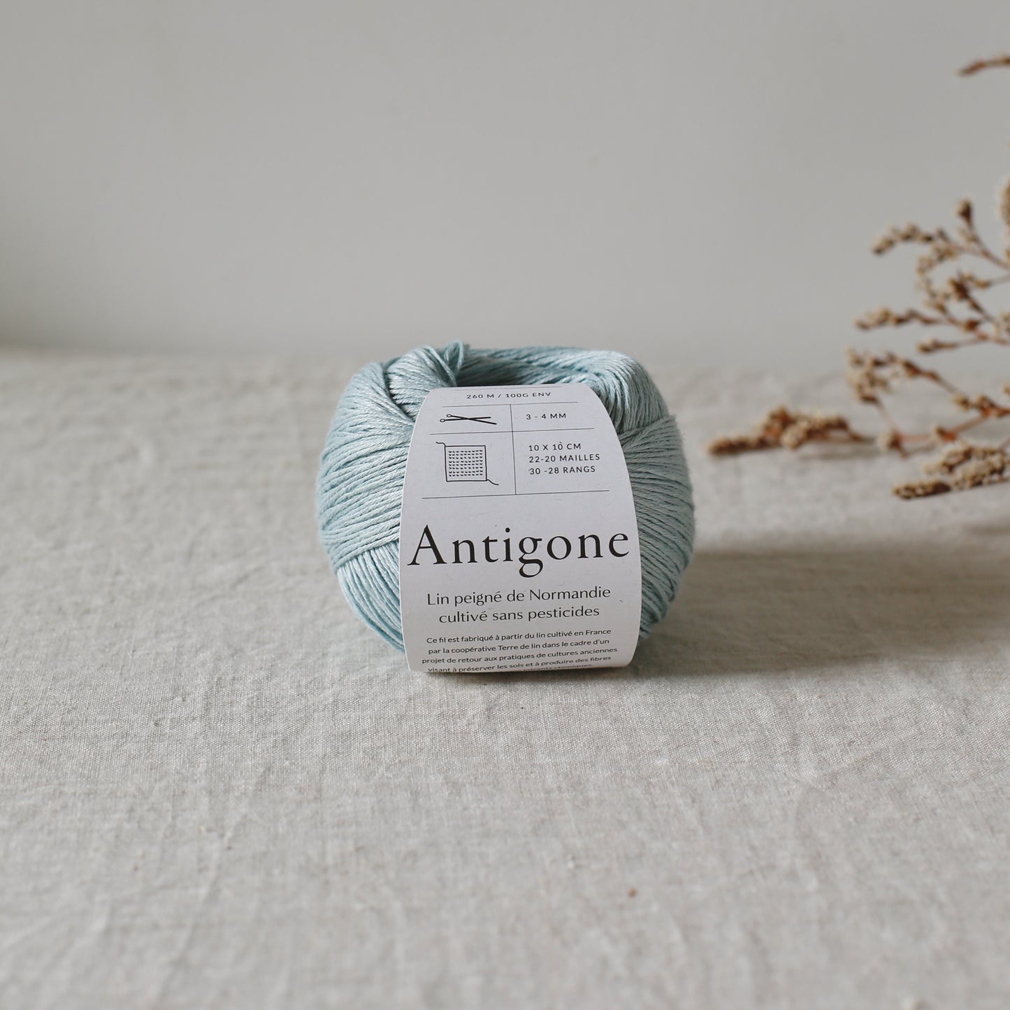 Lino ANTIGONE de De Rerum Natura