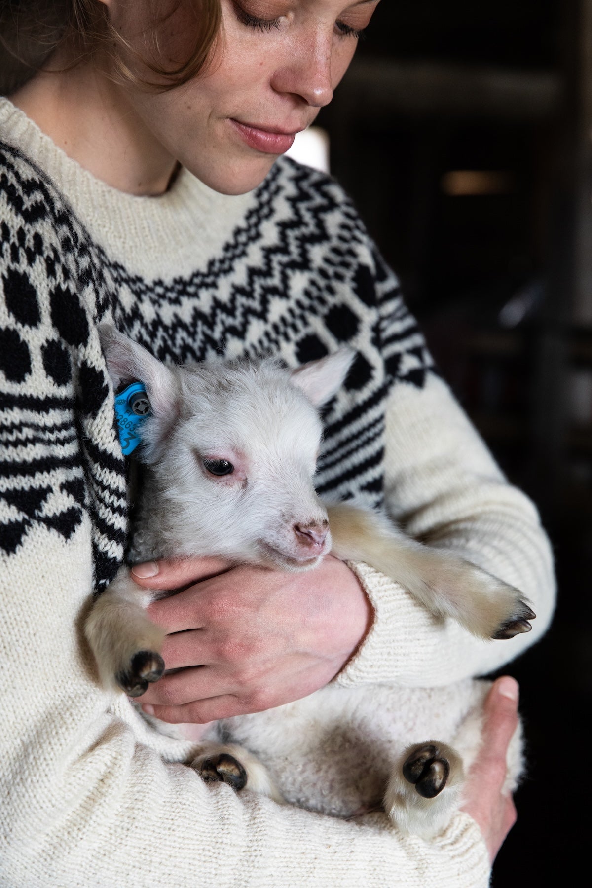 Laine Publishing. Tukubook: Nordic Knits