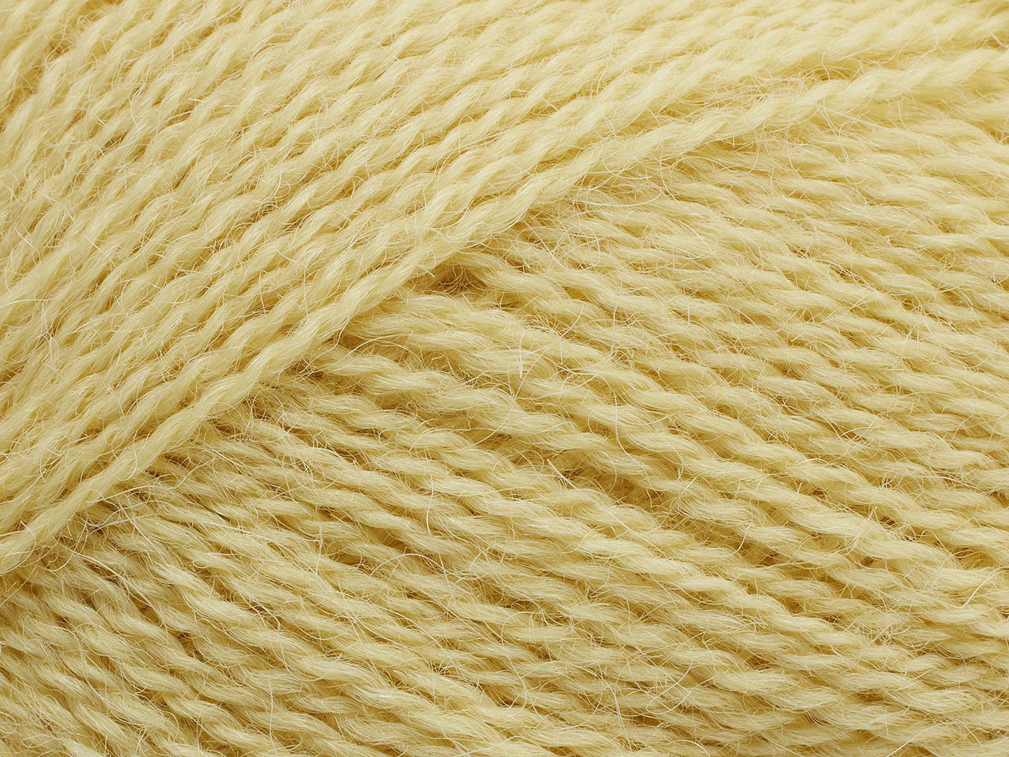 Alva Filcolana